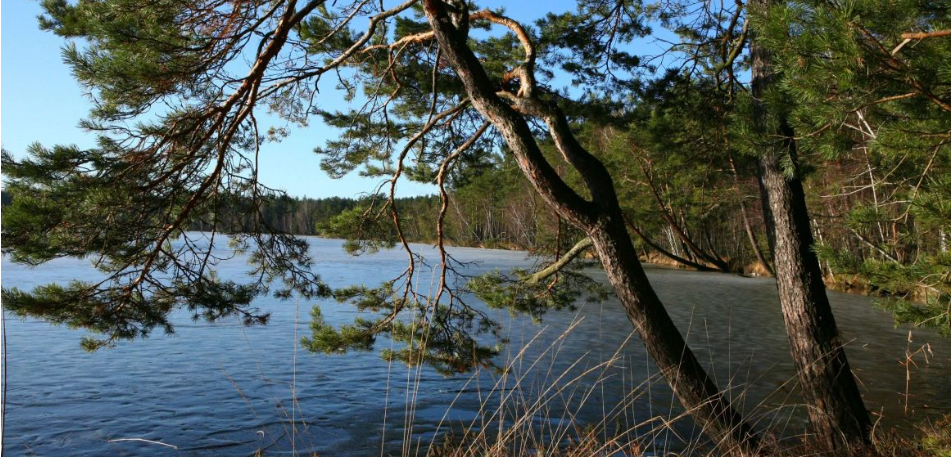Аня Веремчук жалаңаш